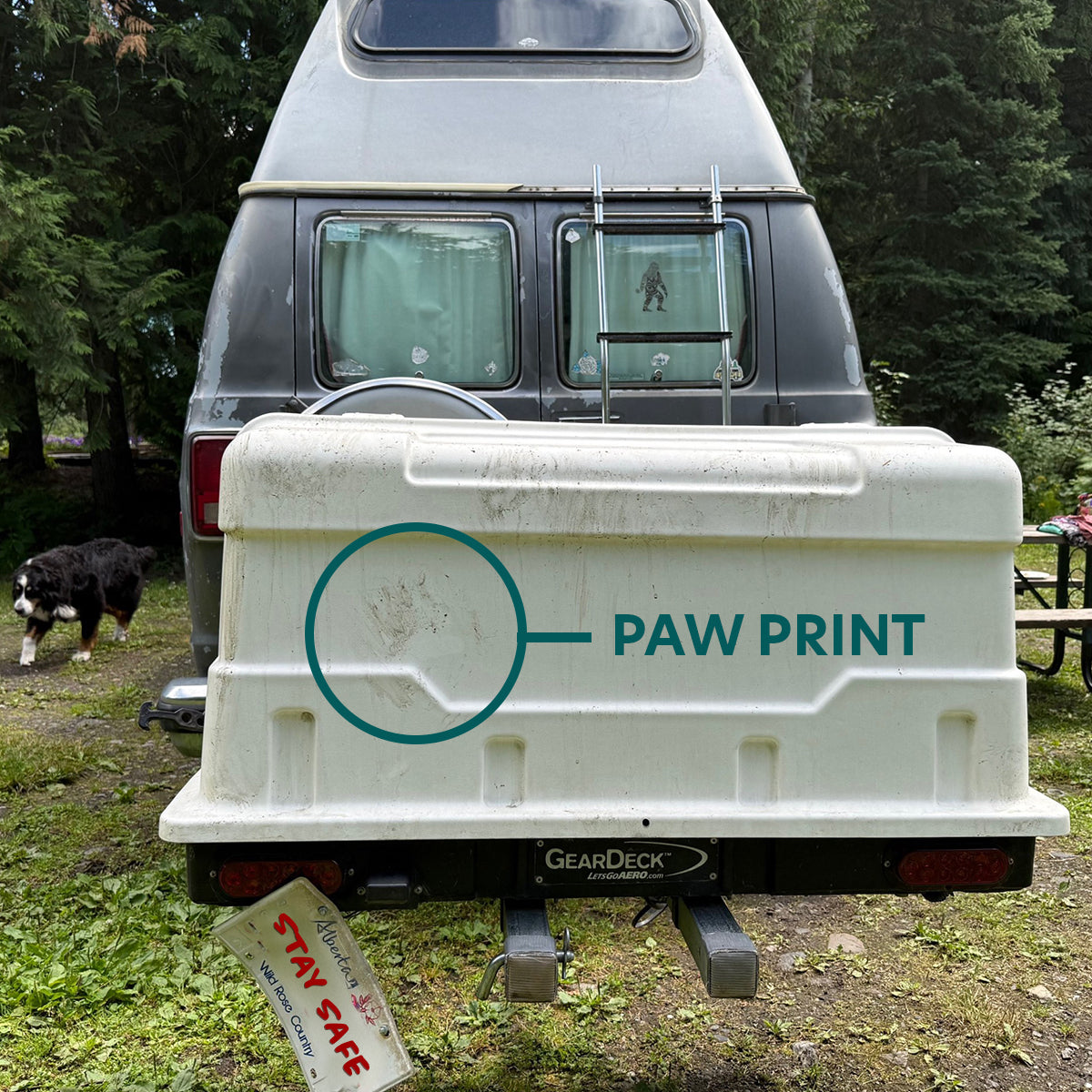 Cargo carrier for Bear Attack