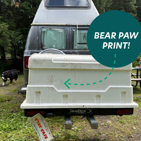 Bear-Tested Tough: A GearDeck Customer's Incredible Campsite Encounter