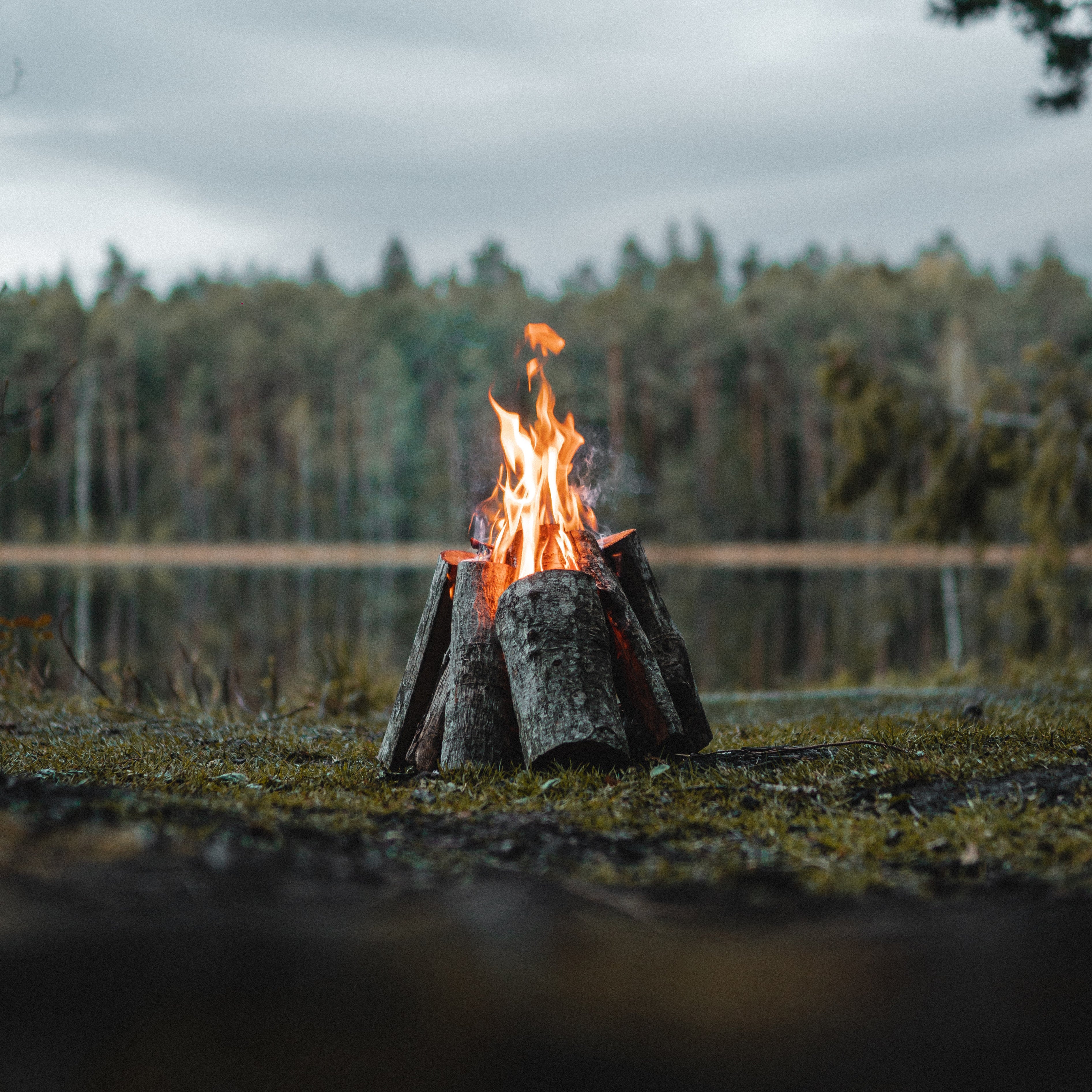 Campfire on a gloomy day