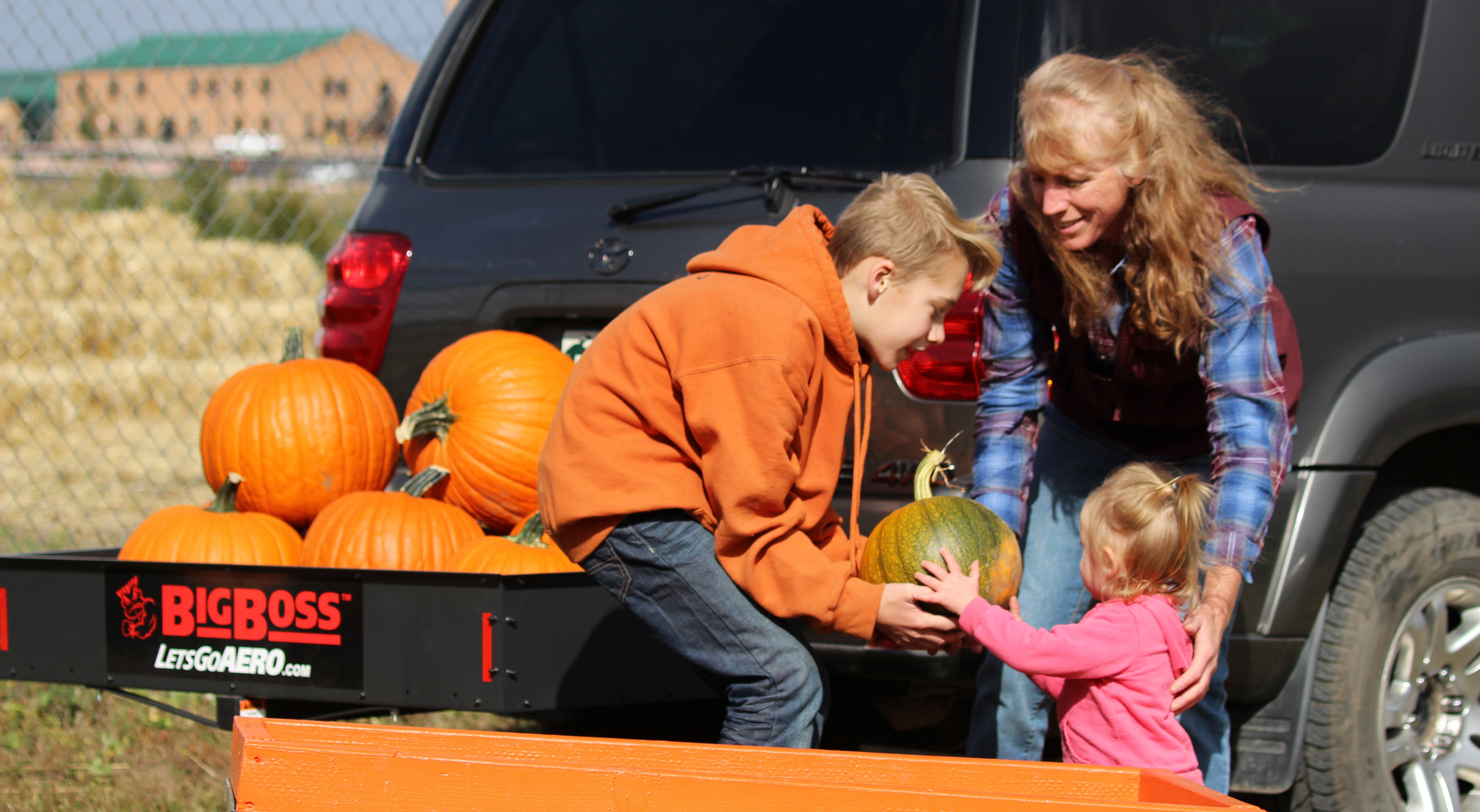 Pumpkins.jpg
